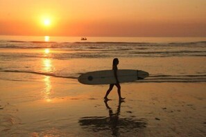 Playa en los alrededores y camastros 