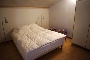 4 bedrooms, WiFi - Maison 4 chambres proche plage (023) (Biscarrosse)