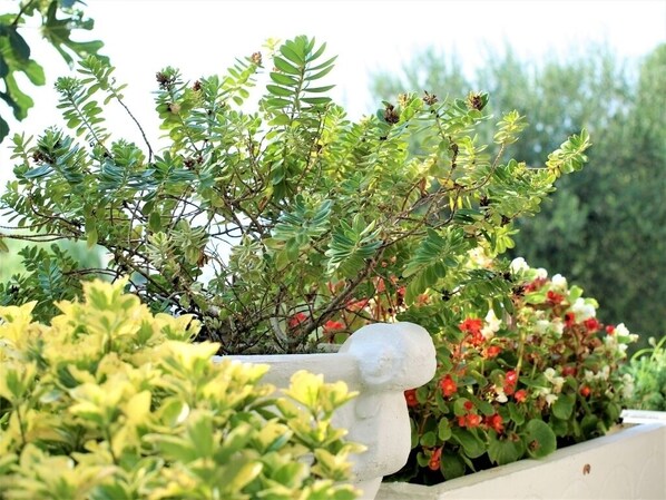 Immagine non classificata, 1 di 19, pulsante