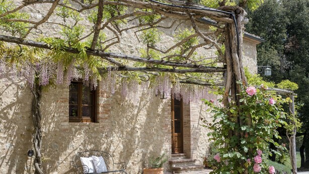 A rustic stone building with a pergola covered in wisteria vines. - Montestigliano, an authentic farmhouse in the heart of Tuscany, is an oasis of peace and beauty that offers its guests refined residences and an enchanting view (Sovicille)