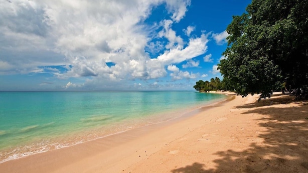 A beach with clear turquoise water, a sandy shore, and dense green foliage on the right. - Tropical Villa with Pool Near Beach - Jessamine (Gibbes)