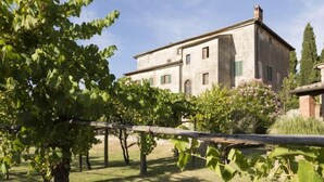 A vineyard with rows of grapevines and a large building in the background. - Montestigliano, an authentic farmhouse in the heart of Tuscany, is an oasis of peace and beauty that offers its guests refined residences and an enchanting view (Rosia - Sovicille)