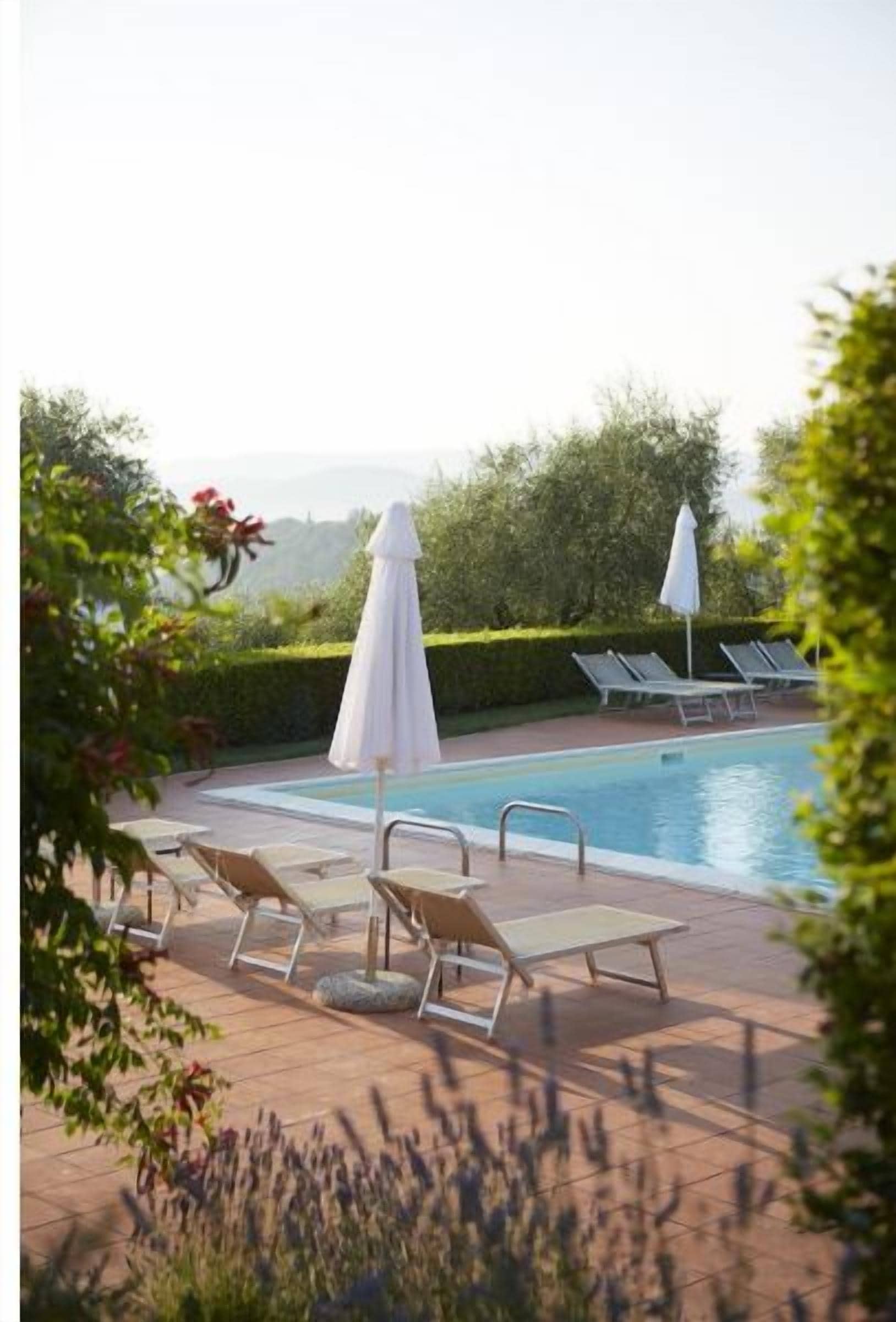 A pool area with lounge chairs and umbrellas, surrounded by greenery.