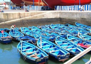 Un puerto con numerosos barcos azules pequeños amarrados en una cuenca de hormigón.