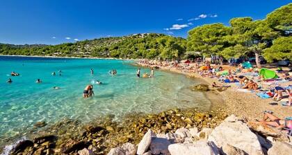 Apartment in Murter with Seaview, Terrace, Air condition, WIFI (125-2)