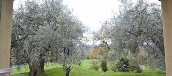 Villa Verena: Une splendide villa de deux étages dans le style caractéristique de la campagne toscane.