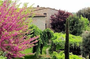 A stone building with a garden featuring various plants and a stone pathway.