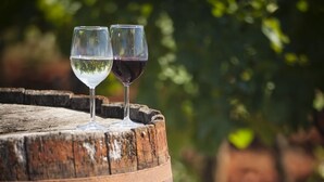 Two glasses of wine on a wooden barrel. - Apartment in Bašanija with Balcony, Air condition, WIFI(113-5) (Bašanija)