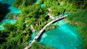 Un pont en bois enjambe une étendue d’eau turquoise, le tout étant entouré d’une végétation luxuriante.