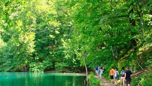 Un lac aux eaux claires et verdoyantes, entouré d’une forêt dense et bordé d’un sentier pédestre.