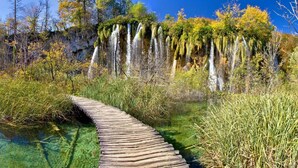 Une promenade en bois qui mène à une zone naturelle caractérisée par une eau claire et des arbres.