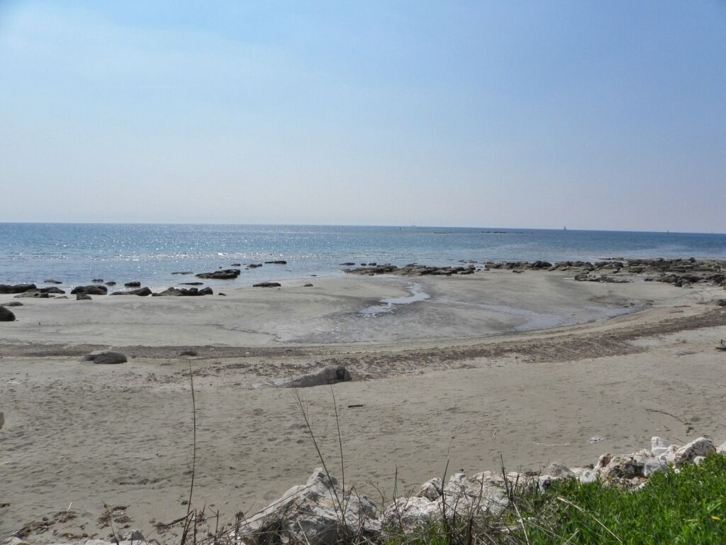 Une plage avec un rivage sablonneux et quelques rochers épars.
