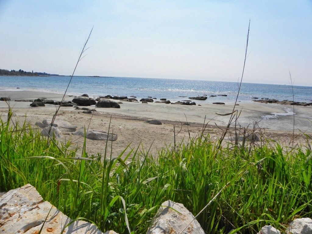 Een strand met rotsen en gras op de voorgrond, en een rustige zee achterin.