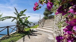Eine Betontreppe führt einen Hügel hinauf, gesäumt von Grünpflanzen und violetten Blüten mit einem Metallgeländer.