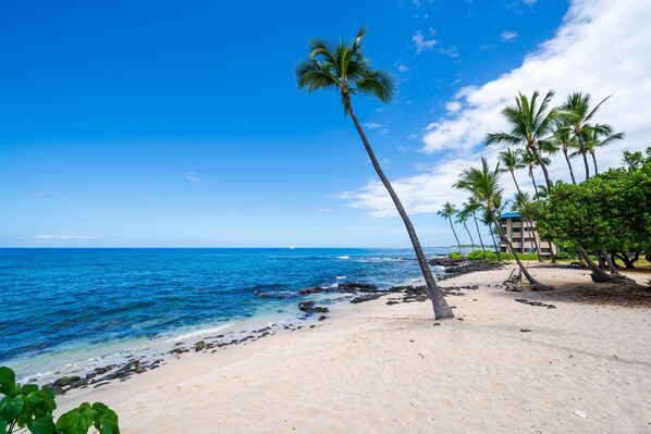 On the beach - Outstanding Oceanfront 🌅 Deluxe Condo! ✨ Kona Reef D-14 (Kailua Kona)