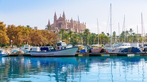 A marina with boats docked, palm trees, and a historic cathedral in the background.