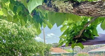 Magnifique Canaulaise typique 5 chambres, 10 personnes à Lacanau océan