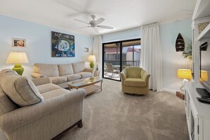 电视、DVD 播放器