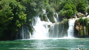 Ein Wasserfall, umgeben von üppigem Grün und klarem Wasser.