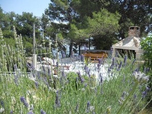 Overnatningsstedets område