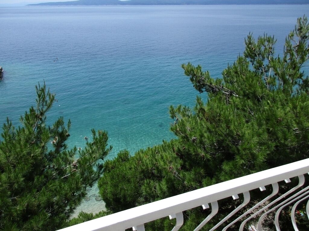 Vista de una zona costera con agua turquesa cristalina, rodeada de frondosos pinos verdes.