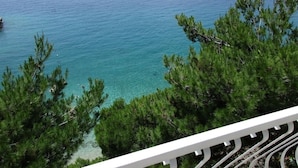 A view of a coastal area with clear turquoise water, surrounded by dense green pine trees.