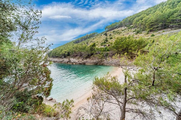 Playa en los alrededores 