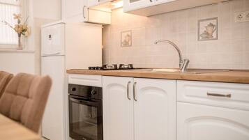 Fridge, oven, stovetop, dishwasher