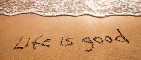 بالقرب من الشاطئ