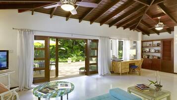 电视、DVD 播放器