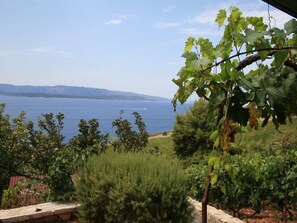 Property grounds - Apartment in Murvica with Seaview, Terrace, Air condition, WIFI (146-2) (Murvica)