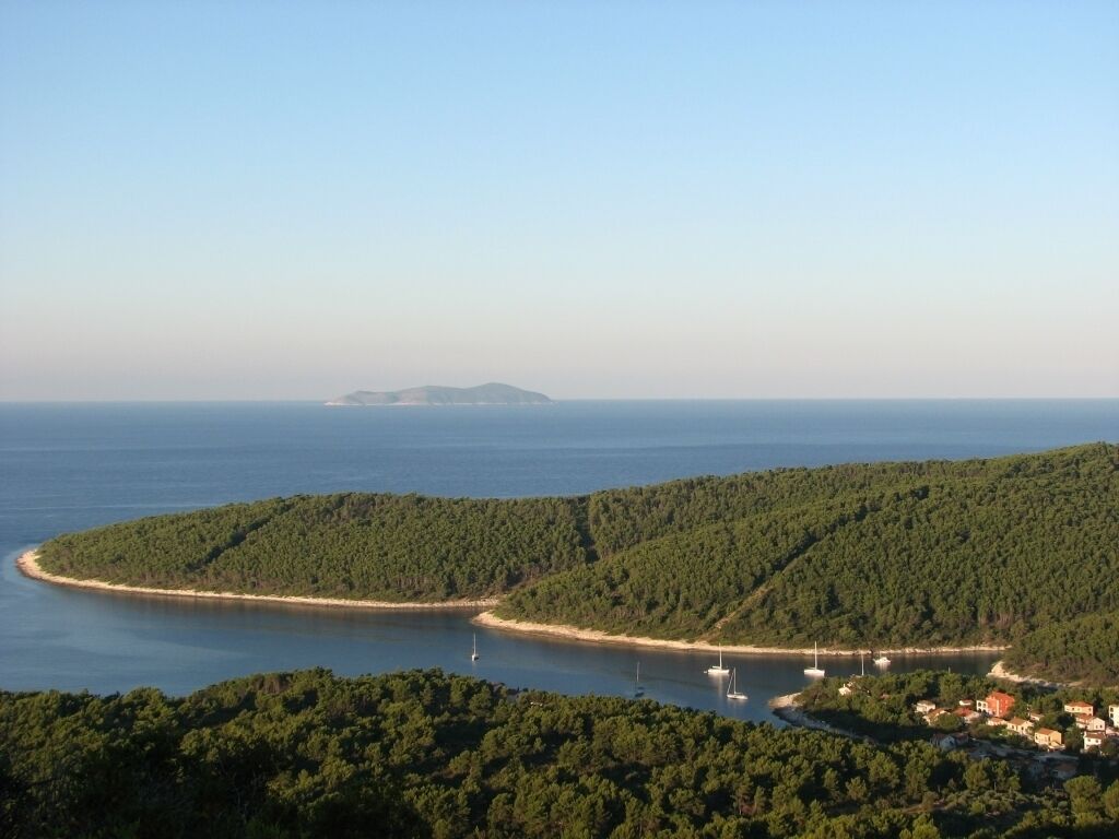Paesaggio costiero con un pendio boscoso, una baia con imbarcazioni e un'isola in lontananza.