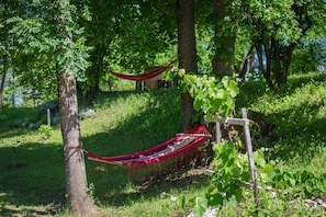 Relax in a serene natural setting with a hammock suspended between trees.