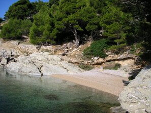 Ranta
