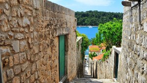 Un étroit sentier de pierre mène à un bâtiment doté d’une porte verte, entouré de murs de pierre, et offre une vue sur une étendue d’eau et une végétation luxuriante en arrière-plan.