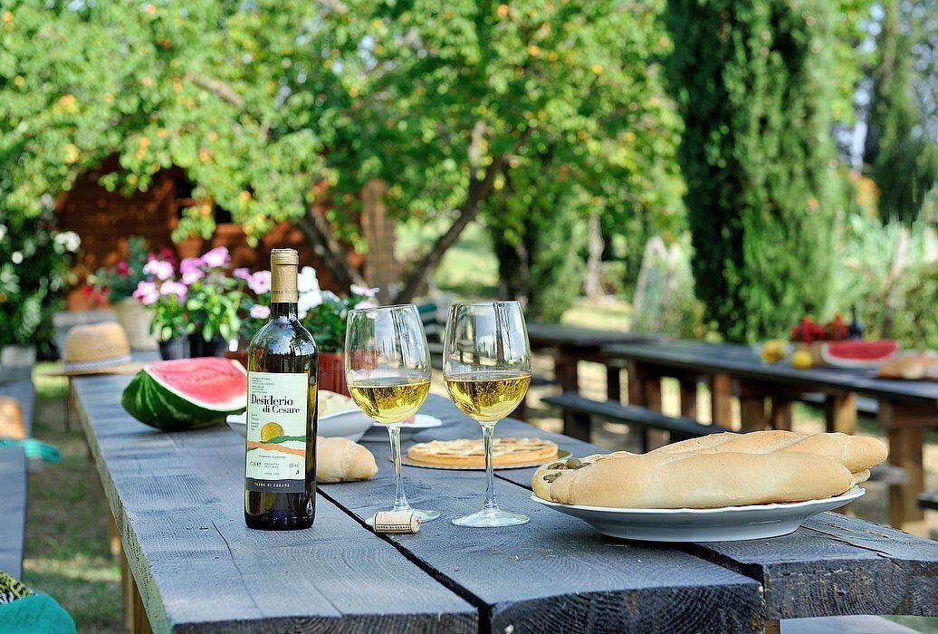 Une table de pique-nique avec une bouteille de vin, deux verres de vin, une assiette de pain et une pastèque.