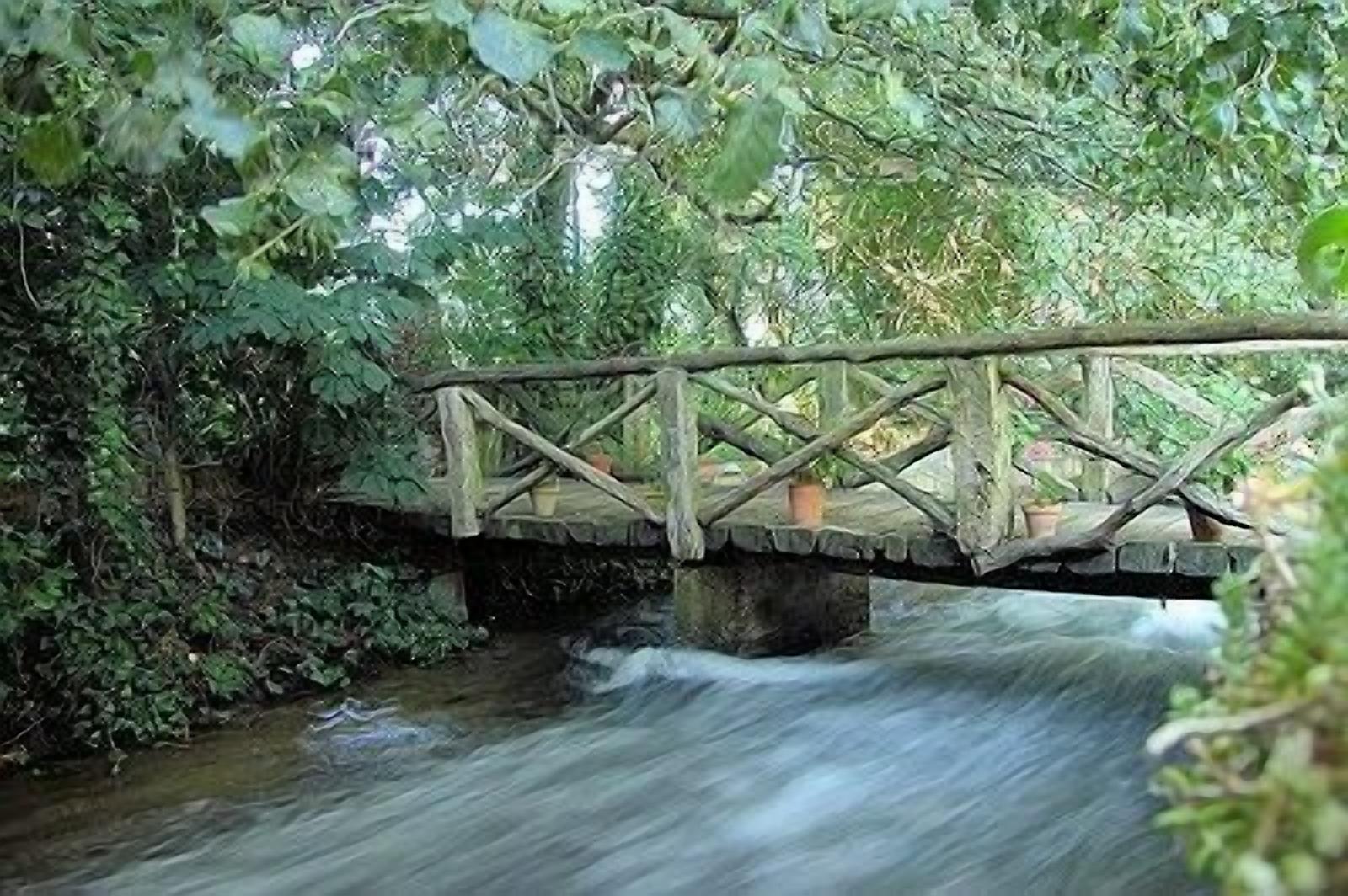 Eine Holzbrücke überspannt einen kleinen Fluss, umgeben von dichtem Grün.
