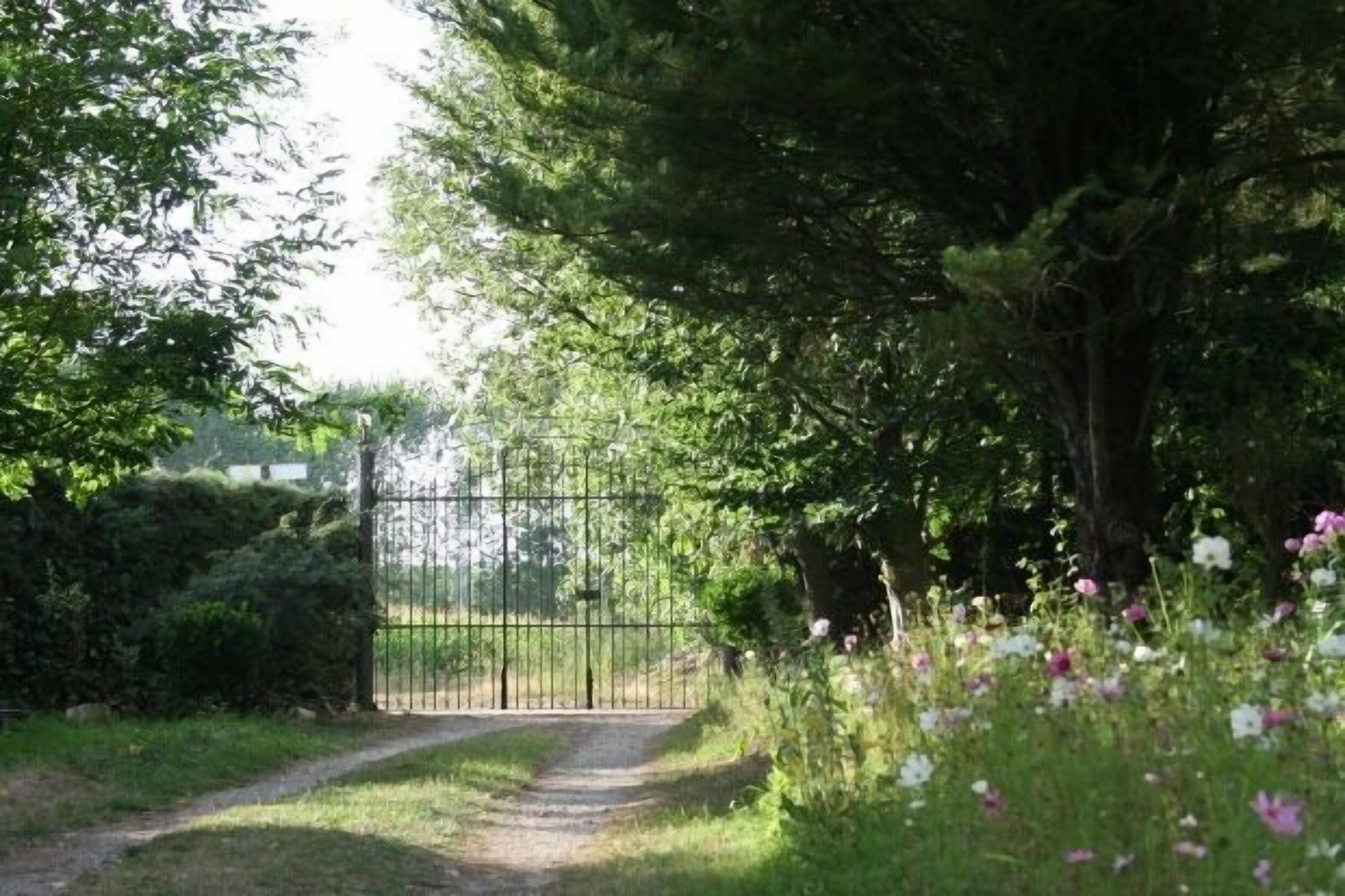 Un sendero conduce a una zona vallada rodeada de abundante follaje y plantas en flor.