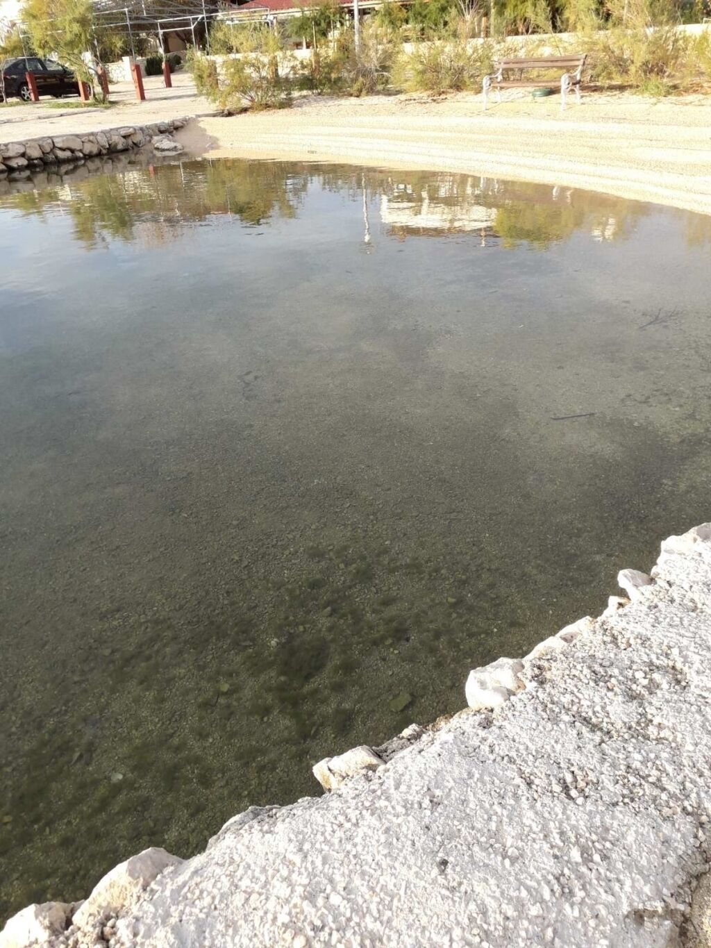 Uno stagno tranquillo con un bordo in pietra, circondato da vegetazione rada e una panchina sullo sfondo.