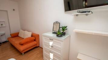 Fernseher