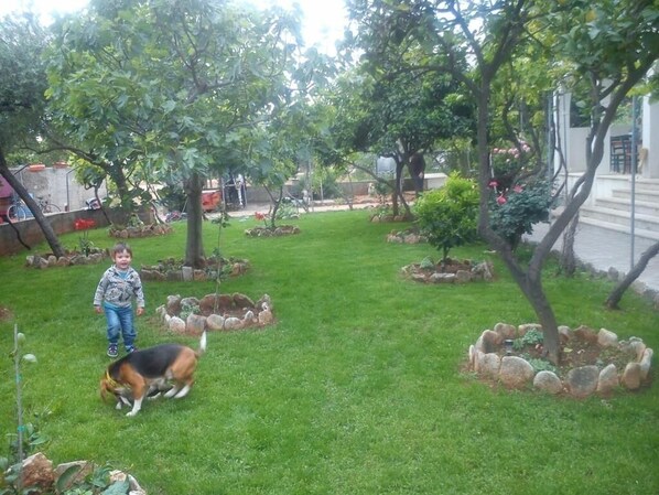 Een gazon met bomen en een hond.