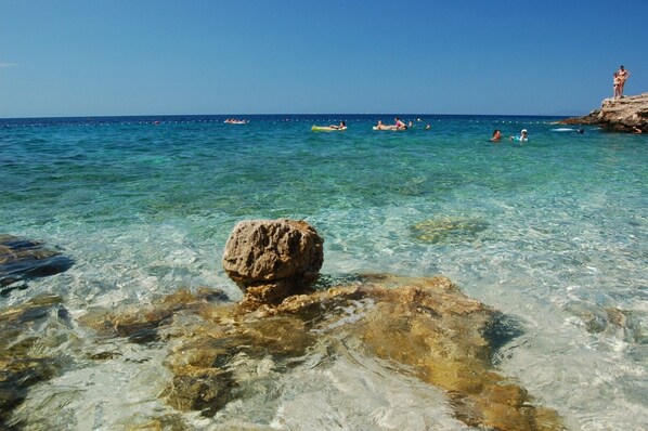 Plage à proximité