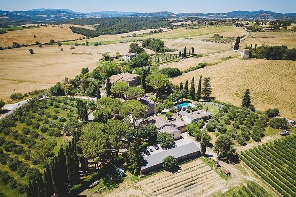 An aerial view of a rural property with vineyards, a swimming pool, and a main building surrounded by trees and fields.