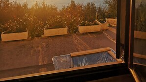 Une vue sur une étendue d’eau calme, avec le soleil se couchant ou se levant, et une terrasse avec des jardinières au premier plan.