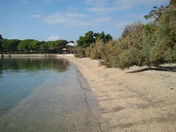 A beach with clear water, sandy shore, and trees.