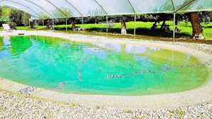 Una piscina con agua azul cristalina, rodeada por un borde de guijarros, bajo una zona cubierta con árboles al fondo.