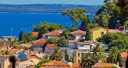 Apartment in Susak with Air condition, WIFI (3865-1)