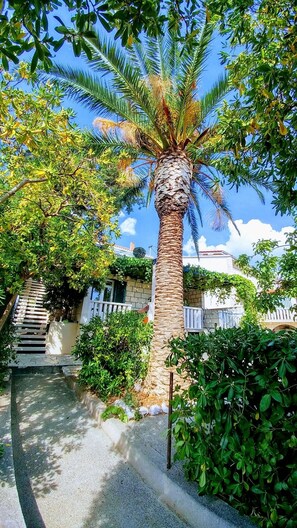 المنطقة المحيطة بالمنشأة