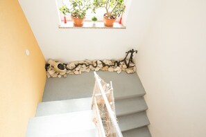 Sisätilat