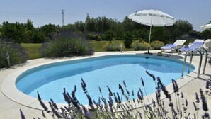 A swimming pool with a curved edge, surrounded by a concrete deck. There are lounge chairs and a white umbrella providing shade. - Holiday Home in Vodnjan with Terrace, Air condition, WIFI, Washing machine (3556-1) (Vodnjan)